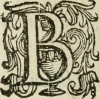 An illustration from Il devotissimo viaggio di Gervsalemme, 1587, leaf 19