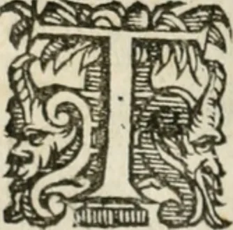 An illustration from Il devotissimo viaggio di Gervsalemme, 1587, leaf 19