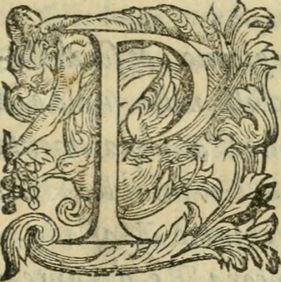 An illustration from Il devotissimo viaggio di Gervsalemme, 1587, leaf 282