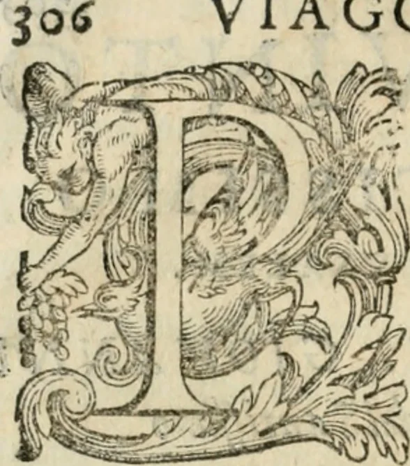 An illustration from Il devotissimo viaggio di Gervsalemme, 1587, leaf 329