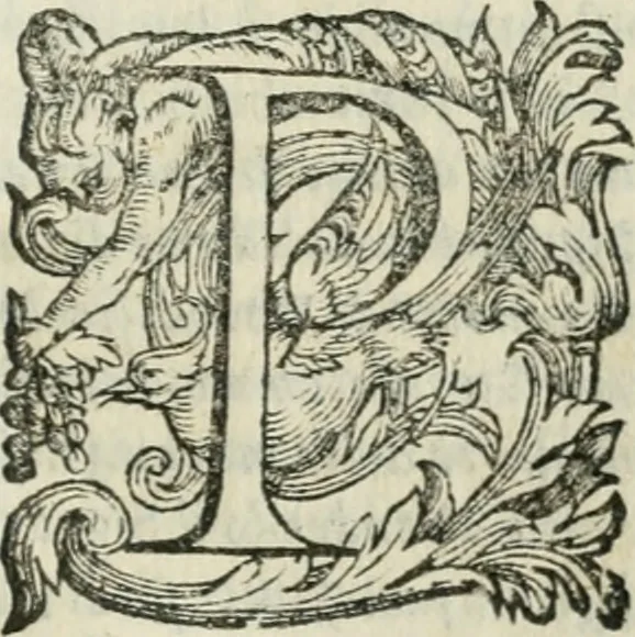 An illustration from Il devotissimo viaggio di Gervsalemme, 1587, leaf 376
