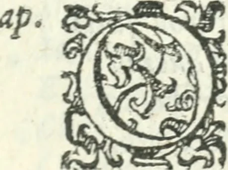 An illustration from Il Donzello, 1585, leaf 44