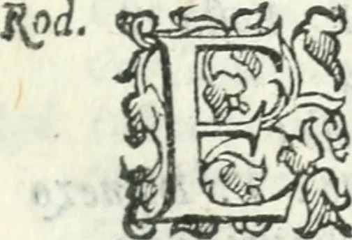 An illustration from Il Donzello, 1585, leaf 60