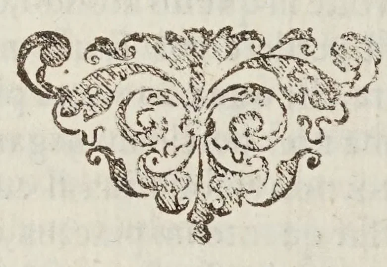 An illustration from Il dottissimo passatempo, 1627, leaf 240