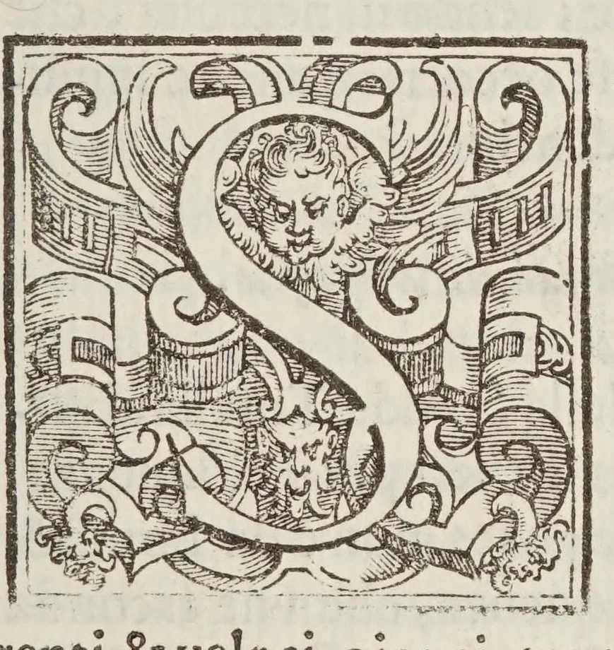 An illustration from Il dottissimo passatempo, 1627, leaf 241