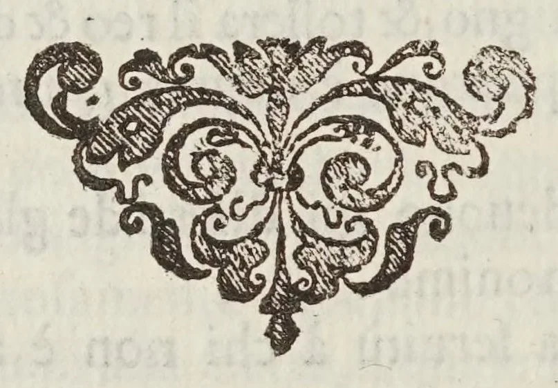 An illustration from Il dottissimo passatempo, 1627, leaf 328