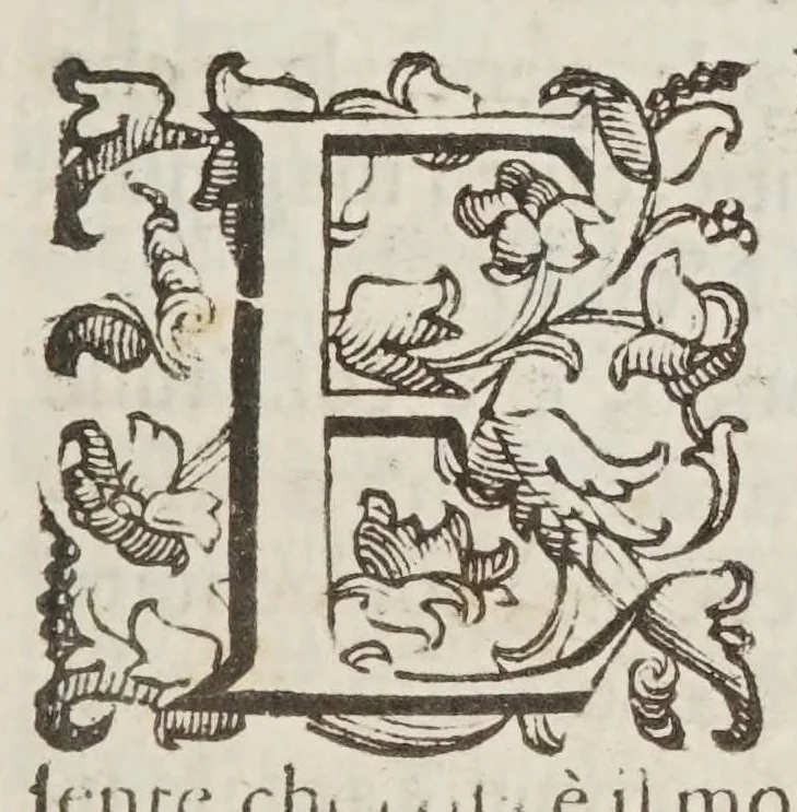 An illustration from Il dottissimo passatempo, 1627, leaf 43
