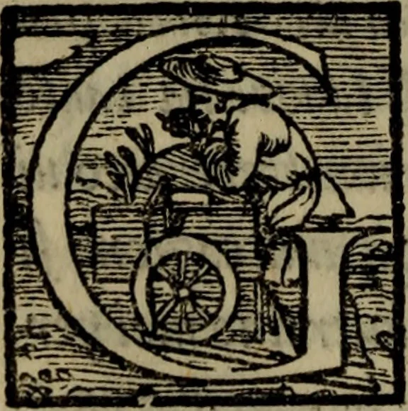 An illustration from Il duello del Mutio Iustinopolitano .., 1550, leaf 107