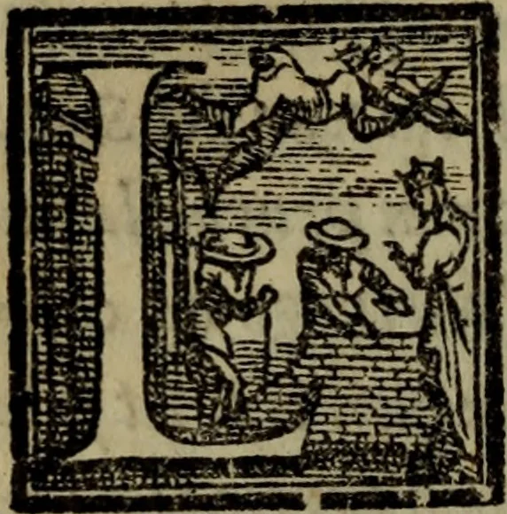 An illustration from Il duello del Mutio Iustinopolitano .., 1550, leaf 113