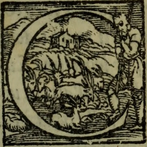 An illustration from Il duello del Mutio Iustinopolitano .., 1550, leaf 114