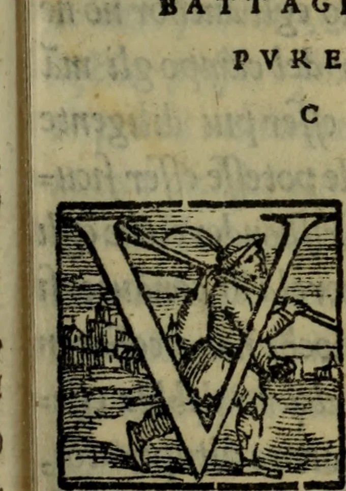 An illustration from Il duello del Mutio Iustinopolitano .., 1550, leaf 116