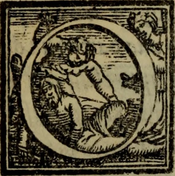 An illustration from Il duello del Mutio Iustinopolitano .., 1550, leaf 125