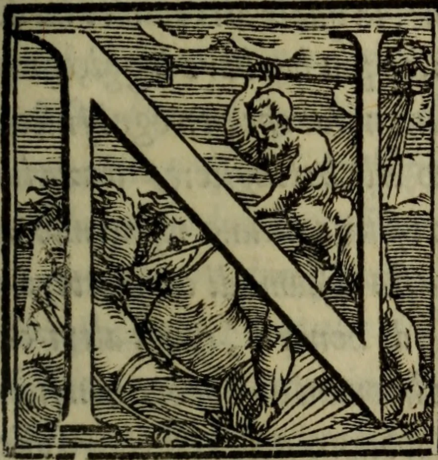 An illustration from Il duello del Mutio Iustinopolitano .., 1550, leaf 138