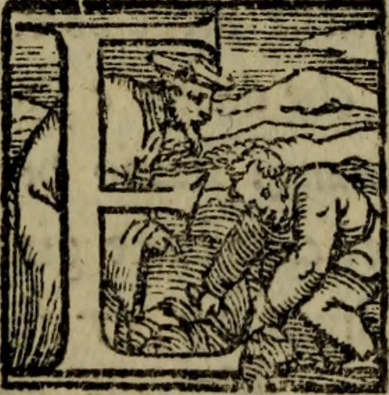 An illustration from Il duello del Mutio Iustinopolitano .., 1550, leaf 141
