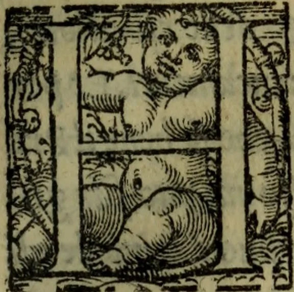 An illustration from Il duello del Mutio Iustinopolitano .., 1550, leaf 146