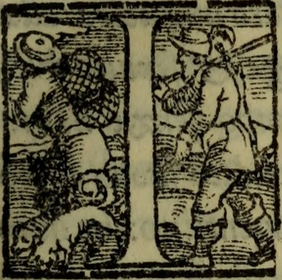An illustration from Il duello del Mutio Iustinopolitano .., 1550, leaf 160