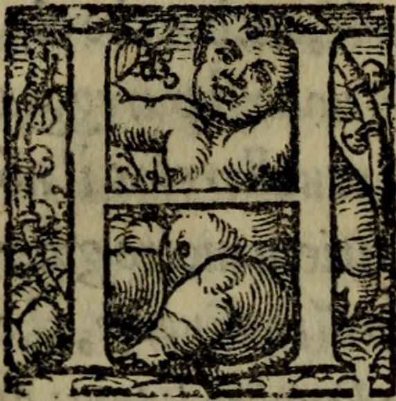An illustration from Il duello del Mutio Iustinopolitano .., 1550, leaf 167