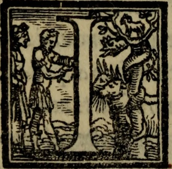 An illustration from Il duello del Mutio Iustinopolitano .., 1550, leaf 187