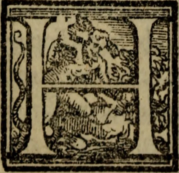 An illustration from Il duello del Mutio Iustinopolitano .., 1550, leaf 191