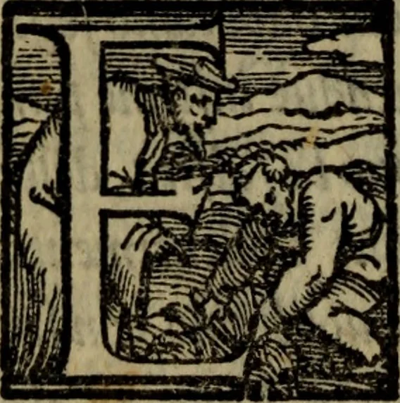 An illustration from Il duello del Mutio Iustinopolitano .., 1550, leaf 193