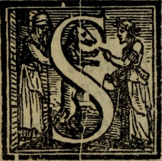 An illustration from Il duello del Mutio Iustinopolitano .., 1550, leaf 195