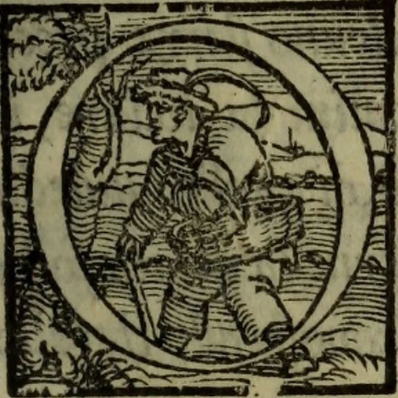 An illustration from Il duello del Mutio Iustinopolitano .., 1550, leaf 198