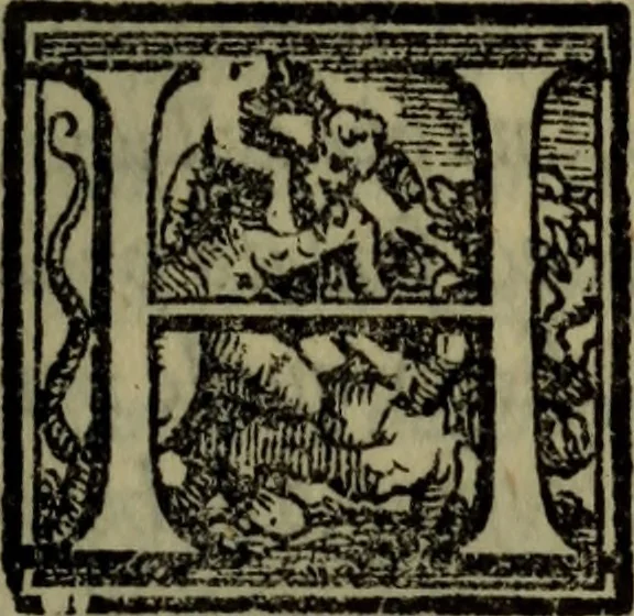An illustration from Il duello del Mutio Iustinopolitano .., 1550, leaf 204
