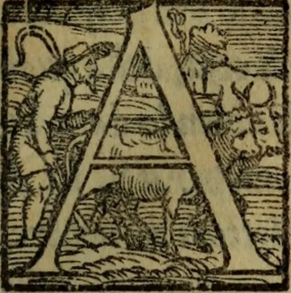 An illustration from Il duello del Mutio Iustinopolitano .., 1550, leaf 22
