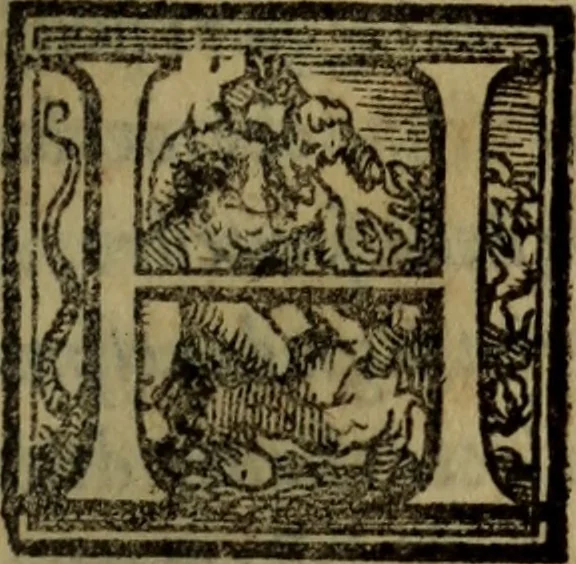 An illustration from Il duello del Mutio Iustinopolitano .., 1550, leaf 26