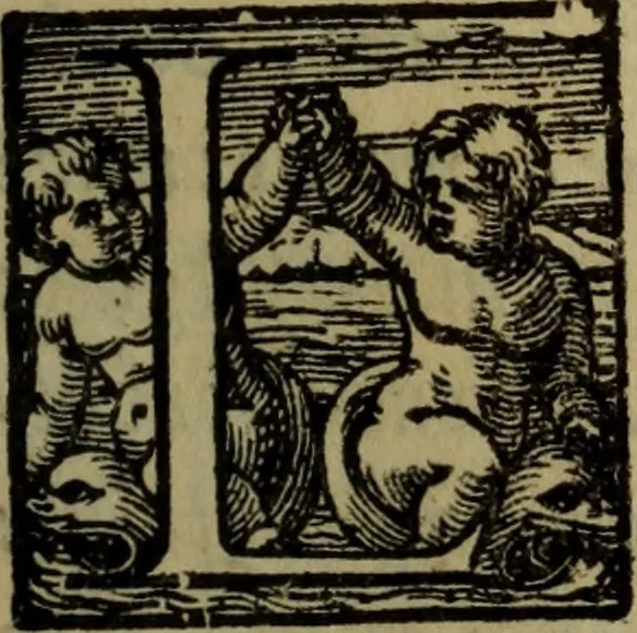 An illustration from Il duello del Mutio Iustinopolitano .., 1550, leaf 28
