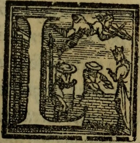 An illustration from Il duello del Mutio Iustinopolitano .., 1550, leaf 30