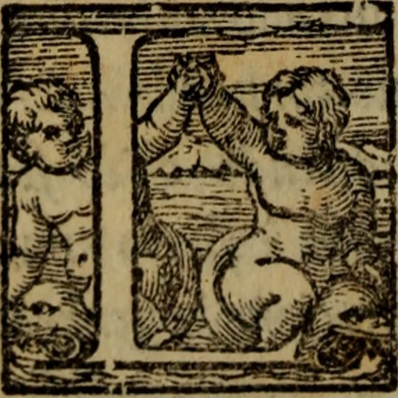 An illustration from Il duello del Mutio Iustinopolitano .., 1550, leaf 33
