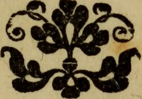 An illustration from Il duello del Mutio Iustinopolitano .., 1550, leaf 4