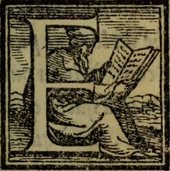 An illustration from Il duello del Mutio Iustinopolitano .., 1550, leaf 40