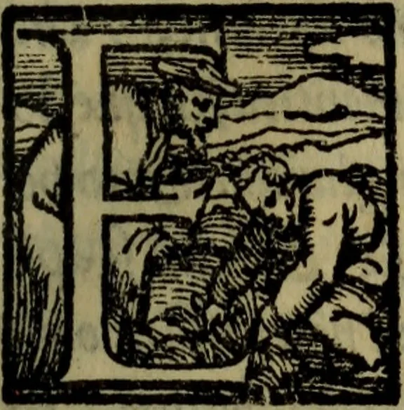 An illustration from Il duello del Mutio Iustinopolitano .., 1550, leaf 42