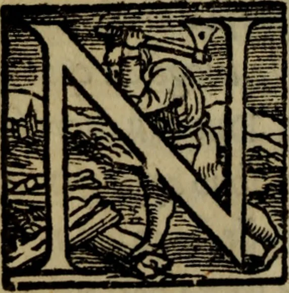 An illustration from Il duello del Mutio Iustinopolitano .., 1550, leaf 45