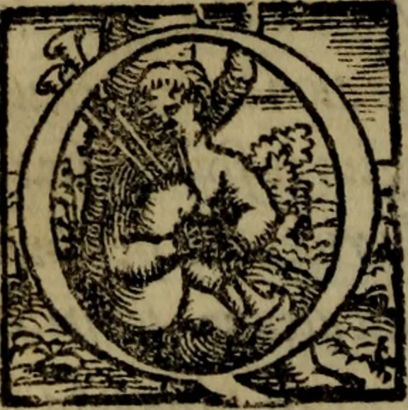 An illustration from Il duello del Mutio Iustinopolitano .., 1550, leaf 49