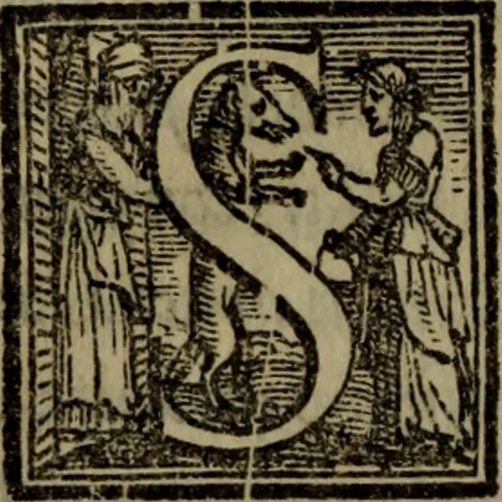 An illustration from Il duello del Mutio Iustinopolitano .., 1550, leaf 53