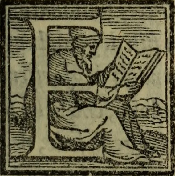 An illustration from Il duello del Mutio Iustinopolitano .., 1550, leaf 56
