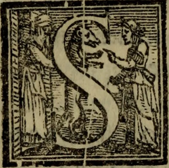 An illustration from Il duello del Mutio Iustinopolitano .., 1550, leaf 59