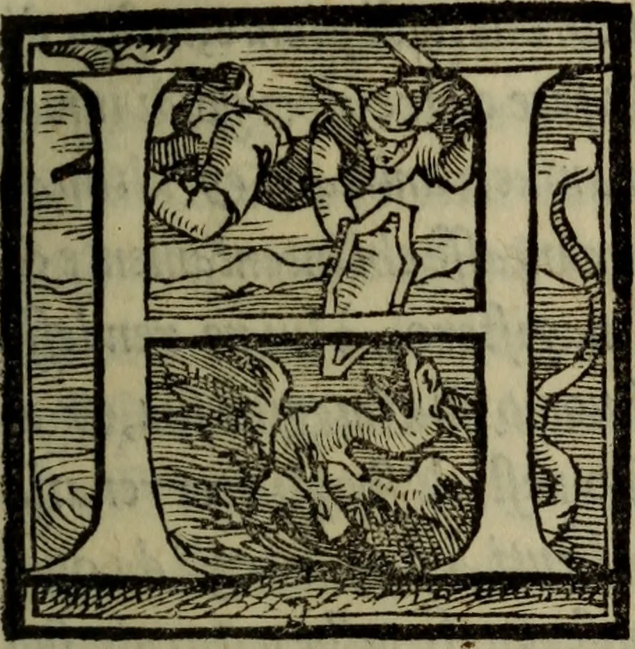 An illustration from Il duello del Mutio Iustinopolitano .., 1550, leaf 72