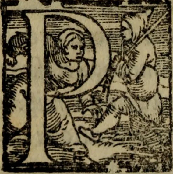 An illustration from Il duello del Mutio Iustinopolitano .., 1550, leaf 75