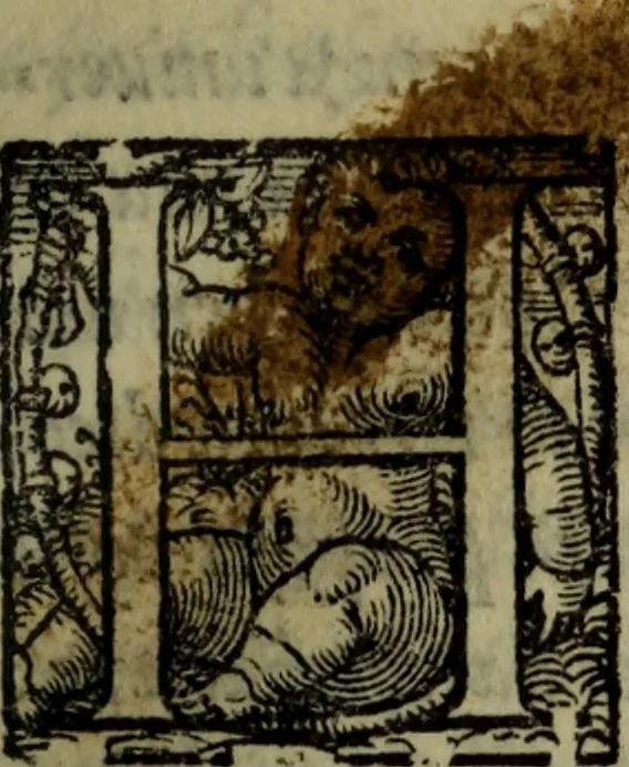An illustration from Il duello del Mutio Iustinopolitano .., 1550, leaf 90
