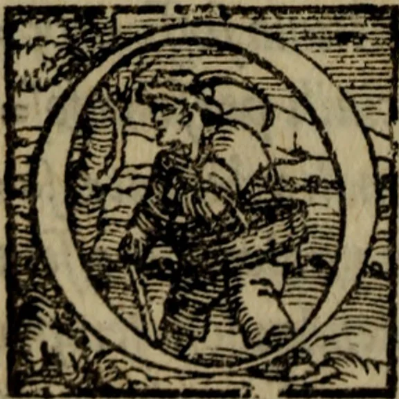 An illustration from Il duello del Mutio Iustinopolitano .., 1550, leaf 91