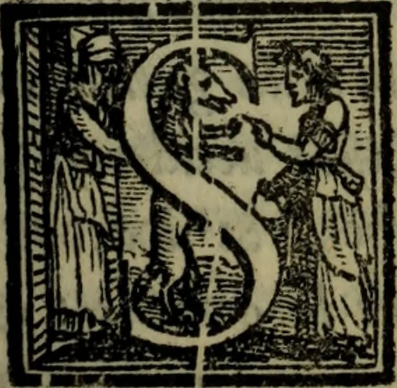 An illustration from Il duello del Mutio Iustinopolitano .., 1550, leaf 94
