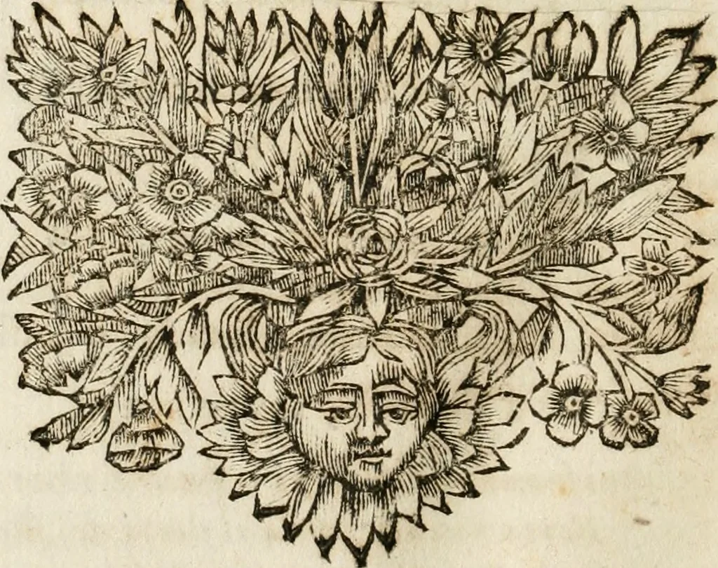An illustration from Il favore de gli dei : drama fantastico musicale, fatto rappresentare dal serenissimo sig. duca di Parma nel suo Gran Teatro per le felicissime nozze del serenissimo sig. principe Odoardo suo primo genito con la serenissima signora principessa Dorotea Sofia di Neoburgo, 1690, leaf 103