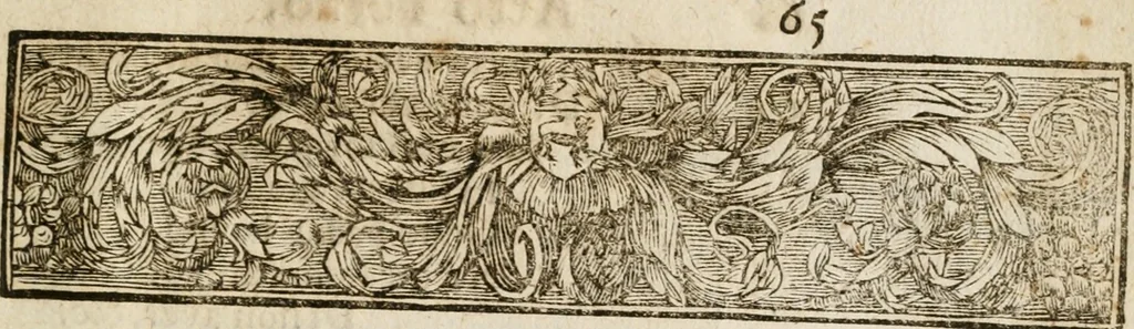 An illustration from Il favore de gli dei : drama fantastico musicale, fatto rappresentare dal serenissimo sig. duca di Parma nel suo Gran Teatro per le felicissime nozze del serenissimo sig. principe Odoardo suo primo genito con la serenissima signora principessa Dorotea Sofia di Neoburgo, 1690, leaf 106