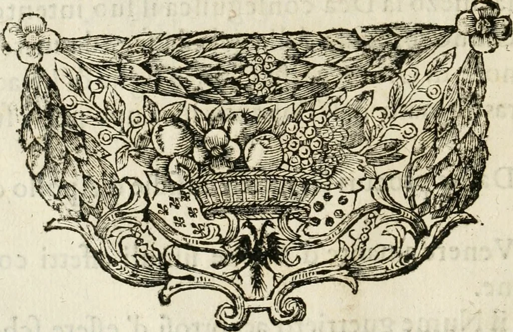 An illustration from Il favore de gli dei : drama fantastico musicale, fatto rappresentare dal serenissimo sig. duca di Parma nel suo Gran Teatro per le felicissime nozze del serenissimo sig. principe Odoardo suo primo genito con la serenissima signora principessa Dorotea Sofia di Neoburgo, 1690, leaf 11