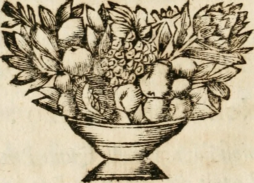 An illustration from Il favore de gli dei : drama fantastico musicale, fatto rappresentare dal serenissimo sig. duca di Parma nel suo Gran Teatro per le felicissime nozze del serenissimo sig. principe Odoardo suo primo genito con la serenissima signora principessa Dorotea Sofia di Neoburgo, 1690, leaf 17