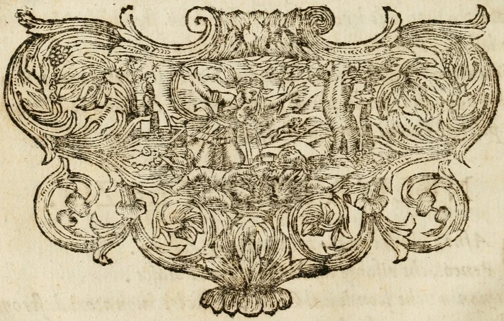 An illustration from Il favore de gli dei : drama fantastico musicale, fatto rappresentare dal serenissimo sig. duca di Parma nel suo Gran Teatro per le felicissime nozze del serenissimo sig. principe Odoardo suo primo genito con la serenissima signora principessa Dorotea Sofia di Neoburgo, 1690, leaf 21